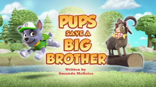La Patrulla Canina Temporada 12 Episodios 9 • Sub Español