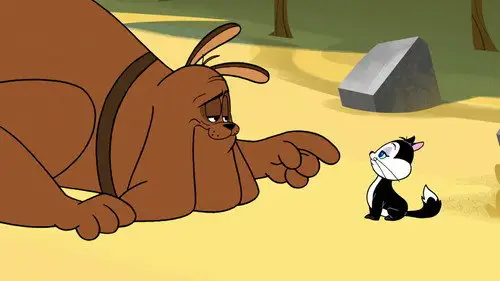 The New Looney Tunes Temporada 3 Episodios 12 • Sub Español