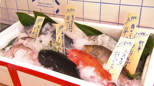Japanology Plus Temporada 10 Episodios 18 • Sub Español