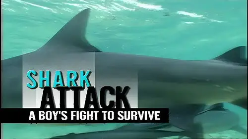 Shark Week S17E8 • Oglądaj Online