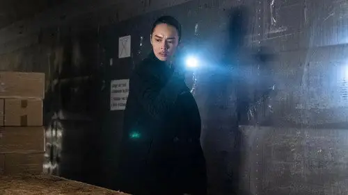 FBI: Internacional Temporada 2 Episodios 11 • Sub Español