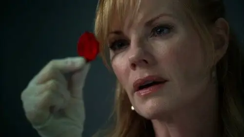 CSI: Las Vegas Temporada 7 Episodios 3 • Sub Español
