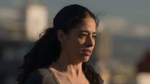Lobo, morir matando Temporada 1 Episodios 14 • Sub Español