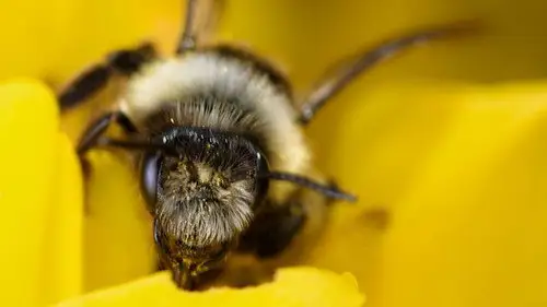 Springwatch Temporada 18 Episodios 6 • Sub Español