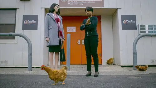 Orange Is the New Black Temporada 7 Episodios 13 • Sub Español