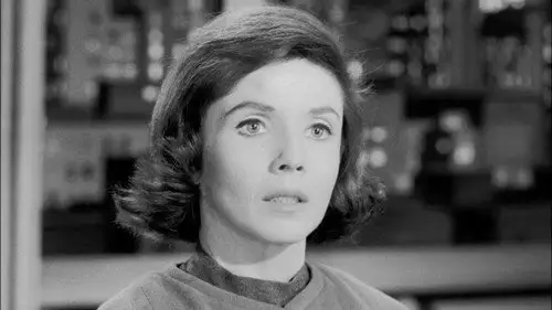 Perry Mason Temporada 6 Episodios 15 • Sub Español