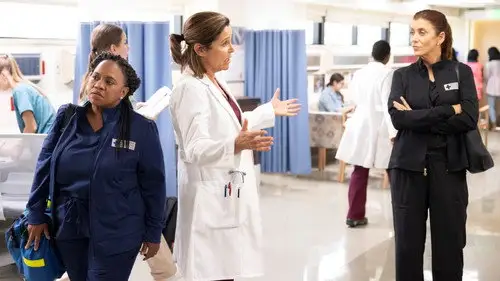 Anatomía de Grey Temporada 19 Cap 5 • Español Online