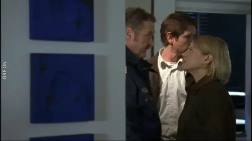 Crimen en los Alpes Temporada 6 Episodios 15 • Sub Español