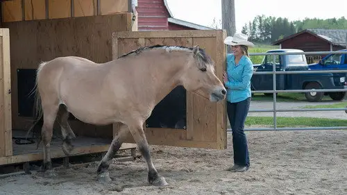 Heartland Temporada 11 Episodios 4 • Sub Español
