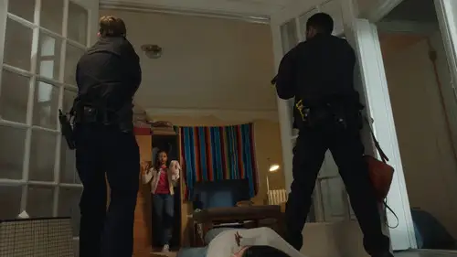 Familia de policías Temporada 14 Episodios 11 • Sub Español