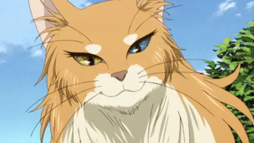 The Ancient Magus' Bride (Mahou Tsukai no Yome) Temporada 1 Episodios 4 • Sub Español