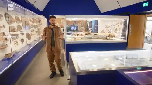 Noos - The Adventure of Knowledge S4E2 • Oglądaj Online