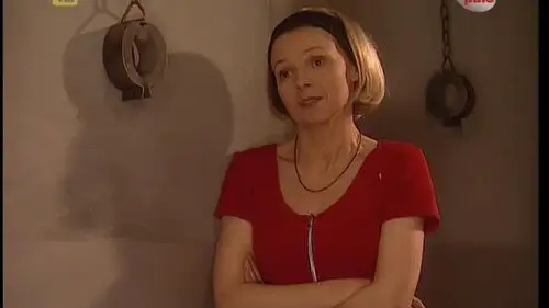 13 posterunek Temporada 2 Episodios 13 • Sub Español