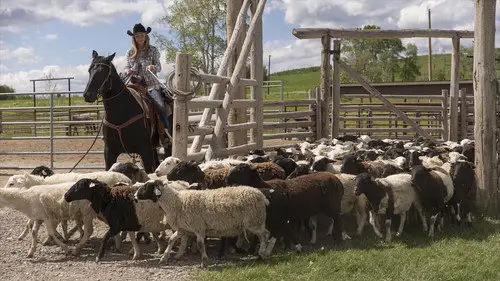 Heartland Temporada 7 Episodios 4 • Sub Español