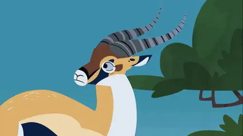 Los Hermanos Kratt Temporada 1 Episodios 25 • Sub Español