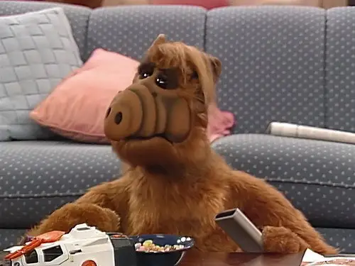 ALF Temporada 2 Episodios 11 • Sub Español