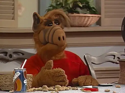 ALF Temporada 3 Episodios 10 • Sub Español