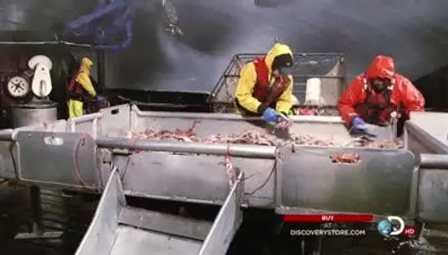 Pesca radical Temporada 7 Episodios 15 • Sub Español