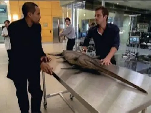 CSI: Nueva York Temporada 2 Episodios 5 • Sub Español