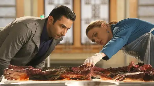 Bones Temporada 11 Episodios 10 • Sub Español