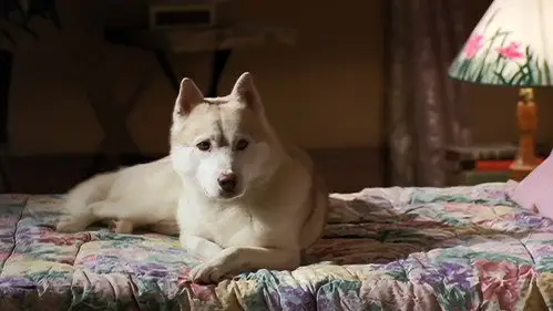 Na południe S2E16 • Oglądaj Online