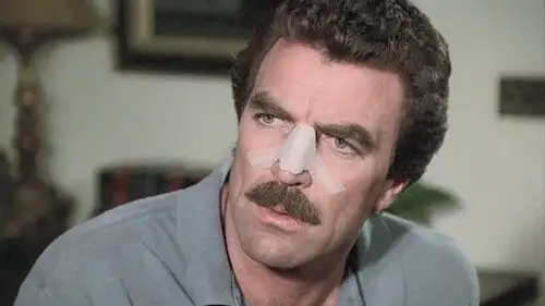 Magnum 1980 Temporada 7 Episodios 21 • Sub Español