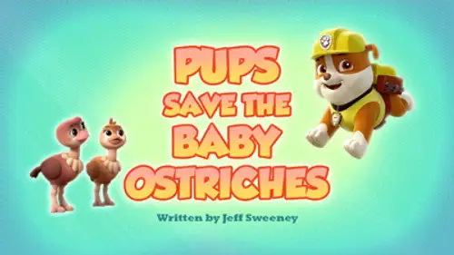 La Patrulla Canina Temporada 6 Episodios 12 • Sub Español