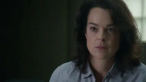 District 31 Temporada 3 Episodios 18 • Sub Español