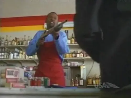 Nash Bridges Temporada 4 Episodios 16 • Sub Español