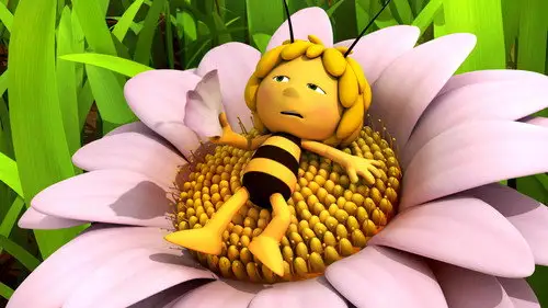 La abeja Maya Temporada 1 Episodios 21 • Sub Español