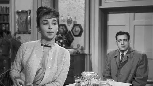 Perry Mason Temporada 3 Episodios 17 • Sub Español