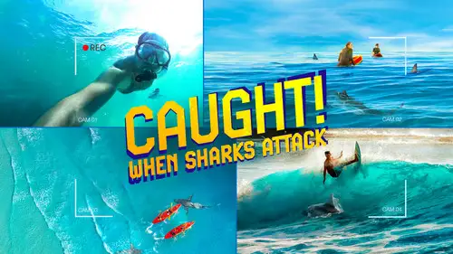 Shark Week S37E15 • Oglądaj Online