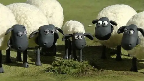 La oveja Shaun Temporada 1 Episodios 8 • Sub Español
