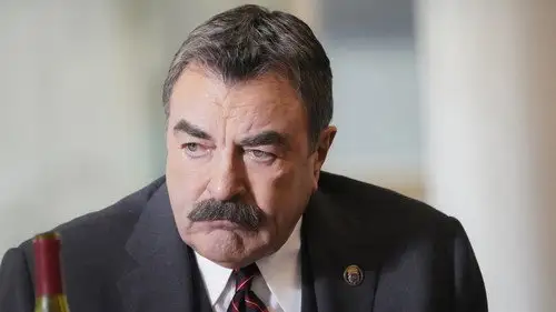 Familia de policías Temporada 10 Episodios 3 • Sub Español