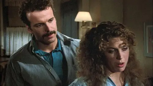 Canción triste de Hill Street Temporada 7 Episodios 13 • Sub Español