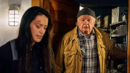 Resident Alien Temporada 1 Episodios 8 • Sub Español