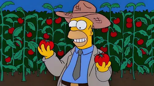 Los Simpson Temporada 11 Episodios 5 • Sub Español