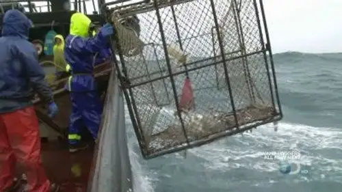 Pesca radical Temporada 6 Episodios 3 • Sub Español