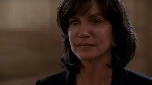 Ley y orden Temporada 15 Episodios 9 • Sub Español