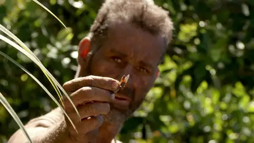 Aventura en pelotas Temporada 0 Episodios 23 • Sub Español