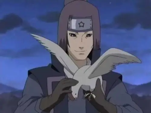 Naruto Temporada 4 Episodios 180 • Sub Español