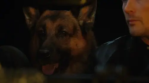 Hudson & Rex Temporada 4 Episodios 10 • Sub Español