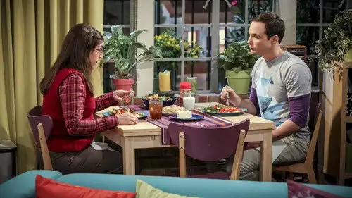 Big Bang Temporada 10 Episodios 6 • Sub Español
