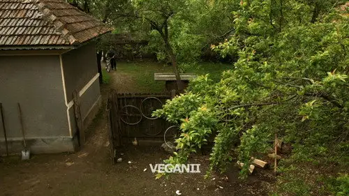 Las Fierbinţi Temporada 6 Episodios 10 • Sub Español