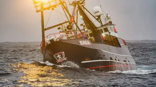 Pesca radical Temporada 16 Episodios 11 • Sub Español