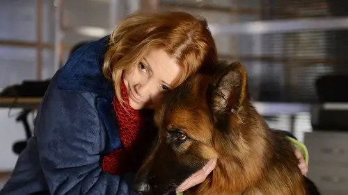 Komisarz Alex Temporada 5 Episodios 7 • Sub Español