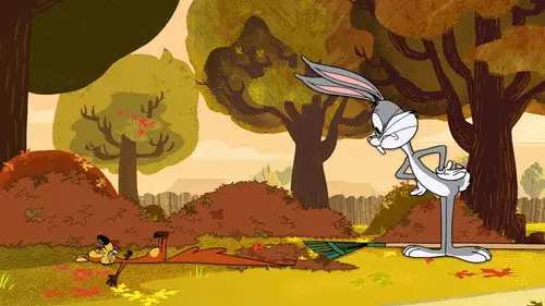 The New Looney Tunes Temporada 1 Episodios 6 • Sub Español