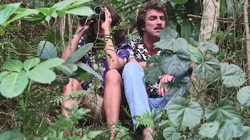 Magnum 1980 Temporada 1 Episodios 17 • Sub Español