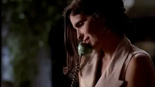 A Vida Como Ela É... Temporada 1 Episodios 14 • Sub Español