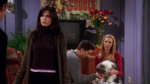 Friends Temporada 7 Episodios 8 • Sub Español